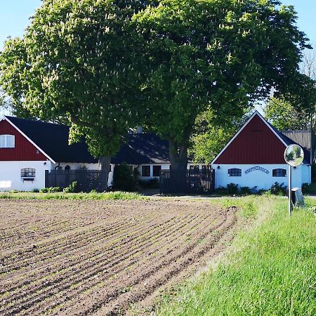 Knappagarden Glemminge Extérieur photo