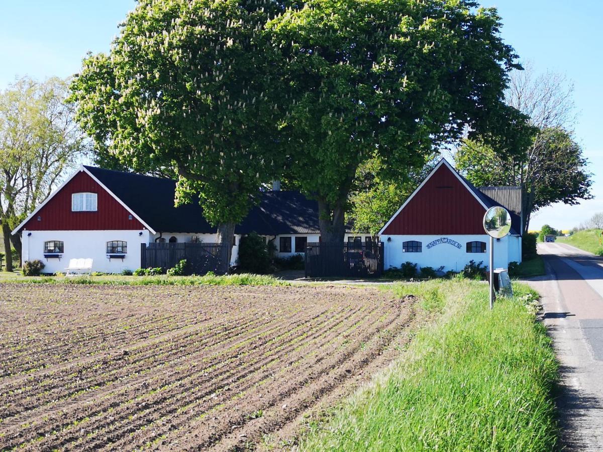 Knappagarden Glemminge Extérieur photo